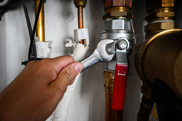 Best Plumbing Inspection Services  in Pontoon Beach, IL